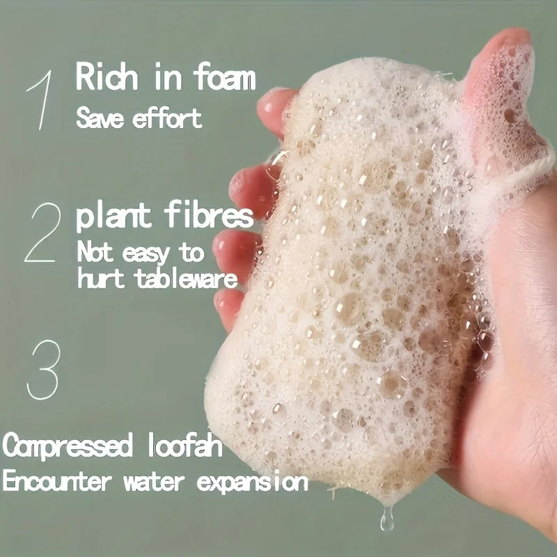 The EcoScrub Set
